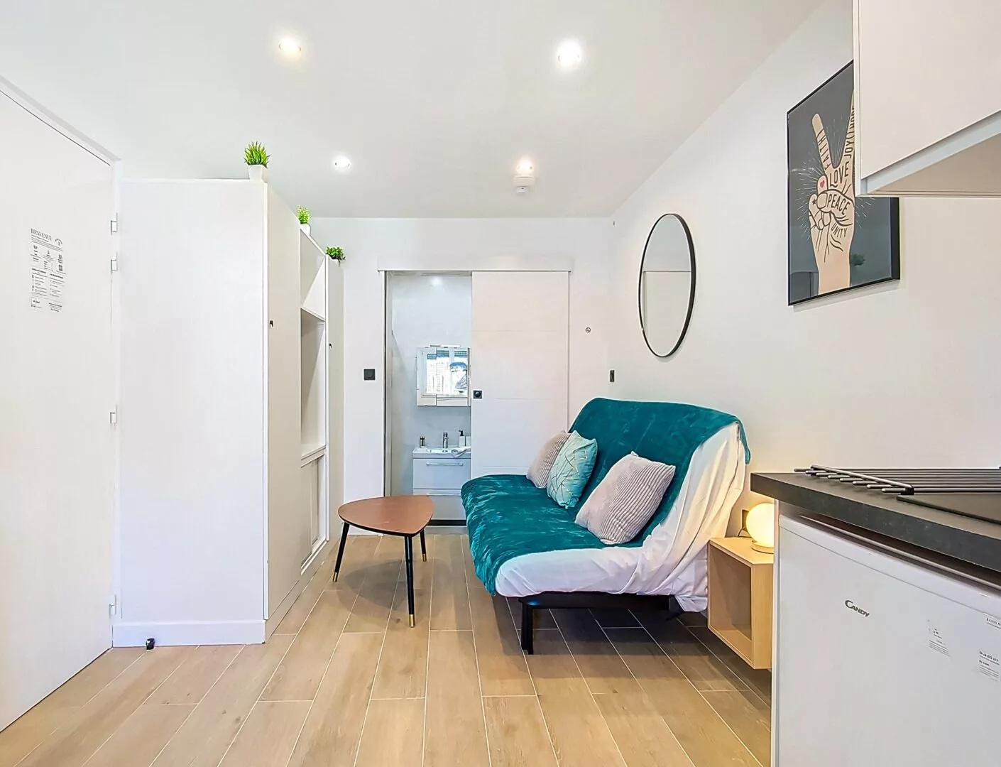 vue salon miroir salle de bain location appartement argenteuil